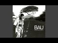 Bau