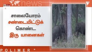 சாலையோரம் சண்டையிட்டுக் கொண்ட இரு யானைகள்