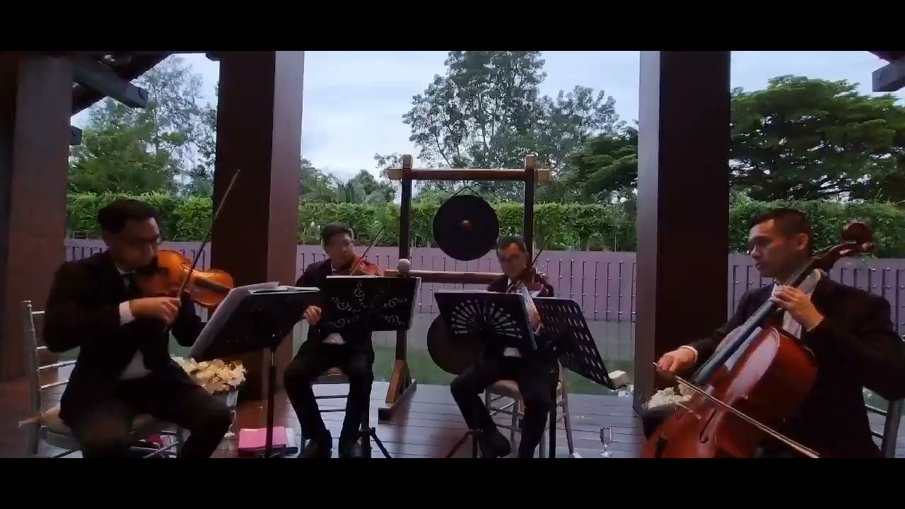 String Quartet For Weddings And Events In Phuket Youtube