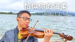 【恰似你的溫柔】鄧麗君 小提琴演奏 Just Like Your Tenderness - Violin Cover