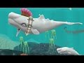Hungry Shark Evolution Moby Dick Android Gameplay #10
