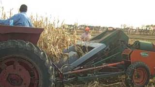 South Dakota Corn Pickin 2009 with New Idea Corn Picker