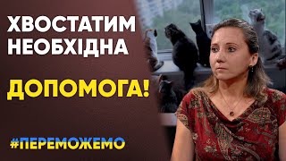 🇺🇦 Київські хвостики: порятунок тваринок під час війни. Тетяна Глатишева