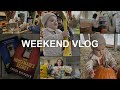 VLOG: grocery shopping, upgrading gemma's shelves, painting pumpkins & more!