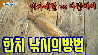 반드시 알아야 할 한치 낚시의 방법 및 실전 피싱 영상[이카메탈 vs 다단채비]MASTER EP. 27