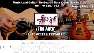 နွေဦးပုံပြင် - The Ants (Guitar Tutorial with Screen Chord and Tab)