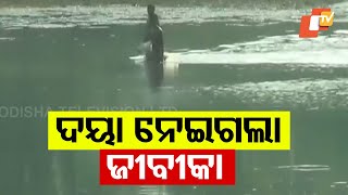 Toxic Daya River Affects Livelihoods of Fishermen in Kanas | Puri