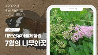 [강남구]대모산유아숲체험원의 7월의 생물들