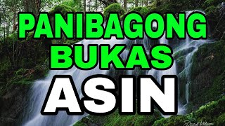 Panibagong bukas by Asin Music lyrics