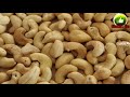 කජු වල ඇති විශ්මිත ගුණ amazing properties of cashew nuts