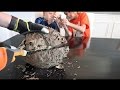 What's inside a Giant Wasp Nest? What's inside a Giant Wasp Nest?