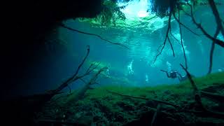 Cenote Carwash