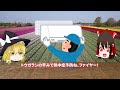 【ゆっくり解説】トウガラシを食べると冷え性になってしまう！？ついて解説！