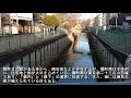 no.244練馬区・関町北 関町南のテーマthe theme music of sekimachikita ・sekimachiminami in tokyo japan ・東京人世