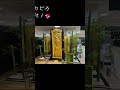 【＃shorts】大丸の大黄金展