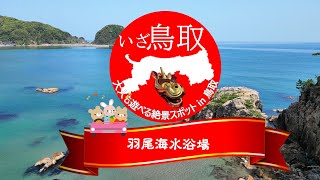 絶景！鳥取・羽尾海水浴場　いざ鳥取！おすすめの絶景スポット