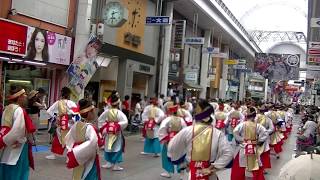 風舞輝~fubuki~～2017高知よさこい祭り本祭(帯屋筋)