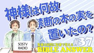 #37 神様は何故禁断の木の実を置いたの？| Bible Answers －聖書の疑問に聖書で答える |