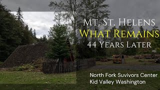 What Remains 44 Years After Mt. St. Helens Eruption of 1980 w/​⁠@NorthForkSurvivors #history #mtsthelens