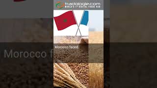 Morocco’s Imports of French Soft Wheat To Reach 5 Million Tonnes in 2023