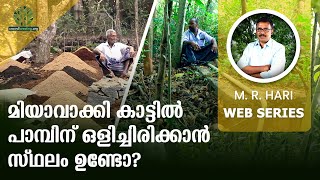 മിയാവാക്കി കാട്ടില്‍ പാമ്പിന്‌ ഒളിച്ചിരിക്കാന്‍ സ്ഥലം ഉണ്ടോ? | SPACE FOR SNAKES IN MIYAWAKI FORESTS?