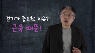 [Health.넷향기] '나꼰대'의 '얼마나 걸어야 할까?'