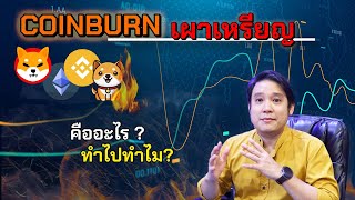 COINBURN เผาเหรียญ คืออะไร? ทำไปทำไม? ทำแล้วได้อะไร?