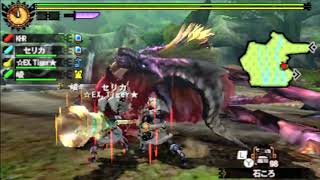 【MH4G】狩猟笛上級者にサポしてもらったテオの末路