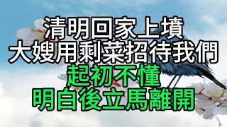 清明回家上墳，大嫂用剩菜招待我們，起初不懂，明白後立馬離開【花好月圓心語】