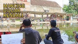 MANCING TAPI IKAN SULIT MAKAN Lihat Selengkapnya...