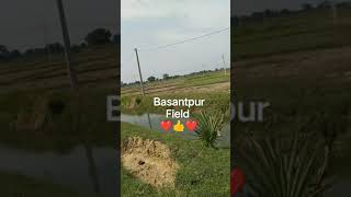 basantpur