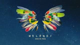 Aves de paso Melendi audio oficial