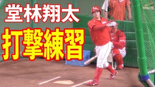 堂林翔太のフリーバッティング練習【広島カープ 2020年 プロ野球】