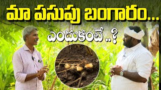 మా పసుపు బంగారం ఎందుకంటే..!? Our turmeric crop | Natural Farming | Organic | Sasyasyamalam