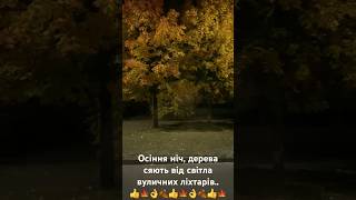 Осіння ніч, дерева сяють від вуличних ліхтарів.. Ukraine, осінь, природа, relax.