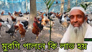 দেশি মুরগি পালনে অধিক লাভ কথাটা কি সত্যি। desi poultry farming video.