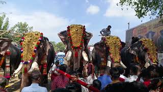 ആറങ്ങോട്ടുകര  മുല്ലക്കൽ ഭഗവതി ക്ഷേത്രത്തിൽ താലപ്പൊലി മഹോത്സവം 2024 full video #elephant #pooram #no1