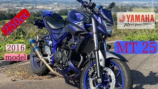 YAMAHA MT25