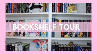 Bookshelf Tour 2019 | How I Organize My Bookshelf