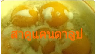 สาคูแคนตาลูปหอมหวานมันส์byยายแอ้ว ขนมหวานคลายร้อน