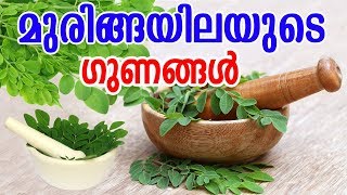 മുരിങ്ങയിലയുടെ ഗുണങ്ങൾ | Benefits Of Moringa Leaves (Drumstick Leaves ) | MALAYALAM  TASTY WORLD