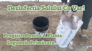 Soil Disinfection With Lime - How We Disinfect Natural Soil To Plant Vegetables In Spring