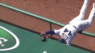 MLB Catches in the Dugout