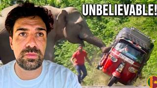 ELEPHANT ATTACKS: Inside Sri Lanka’s B35 road 🇱🇰