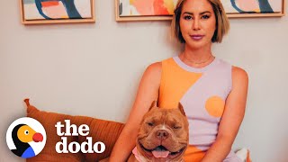 Woman Fosters A Pittie And Has No Idea How Much Her Life's About To Change | The Dodo Foster Diaries