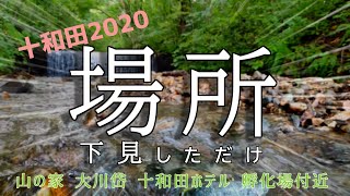 十和田湖ヒメマス解禁前　ポイントを下見してきた【2020】