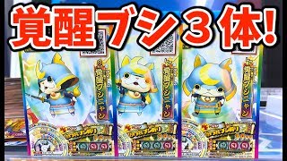 覚醒ブシニャン３体召喚してみた！「妖怪ウォッチウキウキペディアドリーム６弾」トレジャーモード、ムゲン階層    Yo-kai Watch