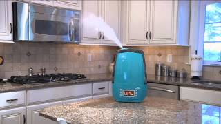 Air Innovations Clean Mist Digital Ultrasonic Humidifier with Kerstin Lindquist