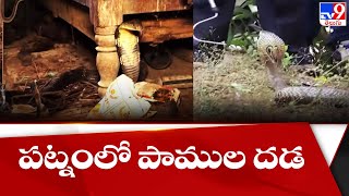 పట్నంలో పాముల దడ | Snakes - TV9