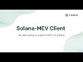 Solana MEV BOT | +1000% Profit PER MONTH | Private Strategies | Mev Bot | Crypto Arbitrage Bot